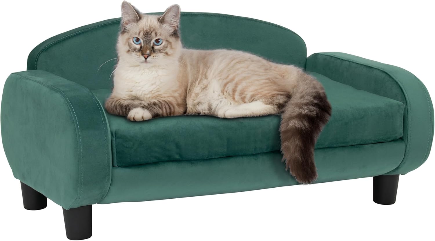 Modern Pet Sofa 31.5" Wide Low Back Lounging Bed with Removable Mattress Cover in Espresso/Teal