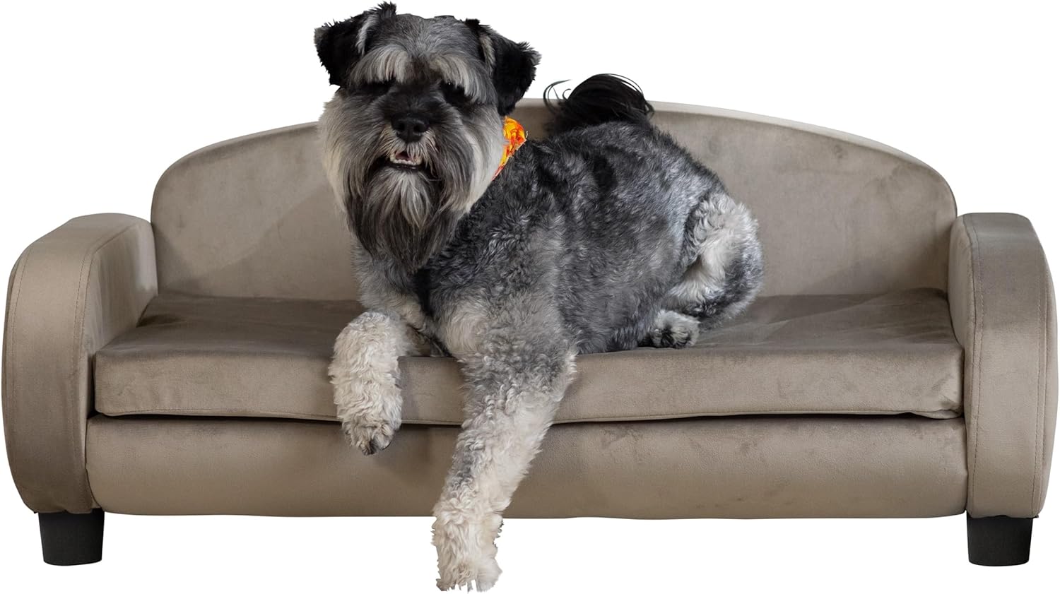 Modern Pet Sofa 35.5" Wide for Medium Dog or Cat with Removable/Washable Mattress Cover